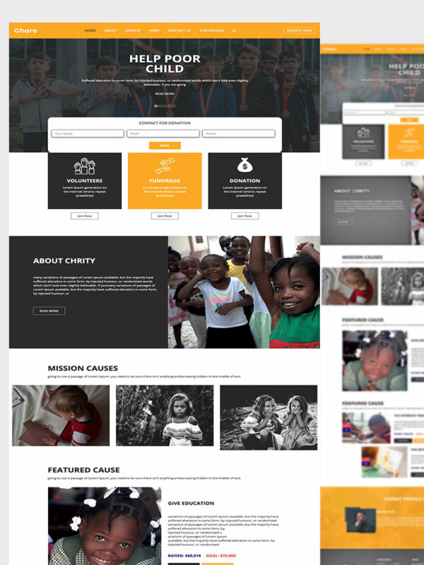 Non-Profit Organization Template